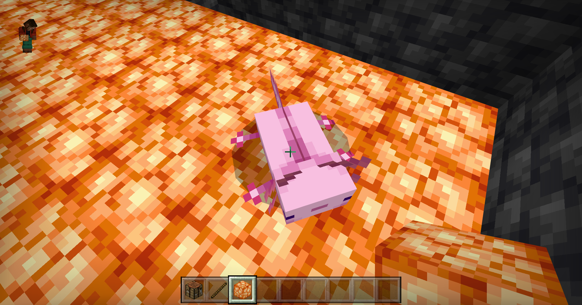 Figure 1 Axolotl