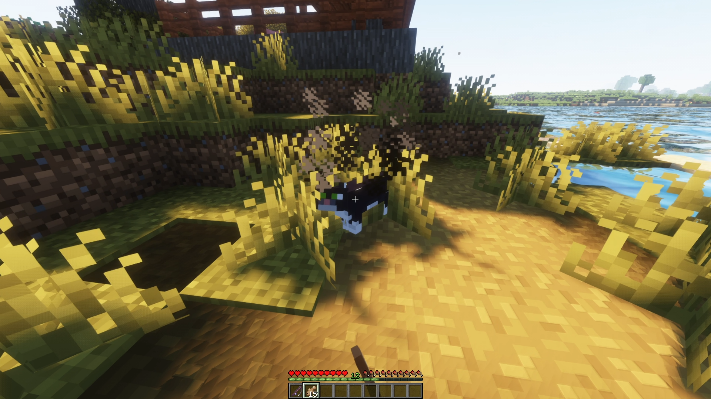 The process of taming a cat in Minecraft