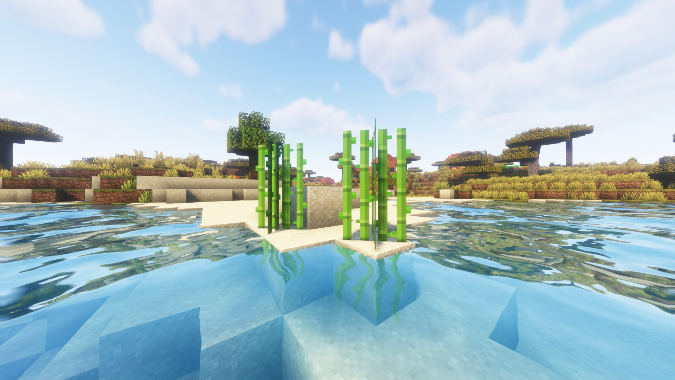 Sugar cane on the beach in Minecraft