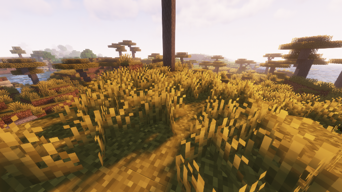 Getting wheat seeds by breaking grass in Minecraft