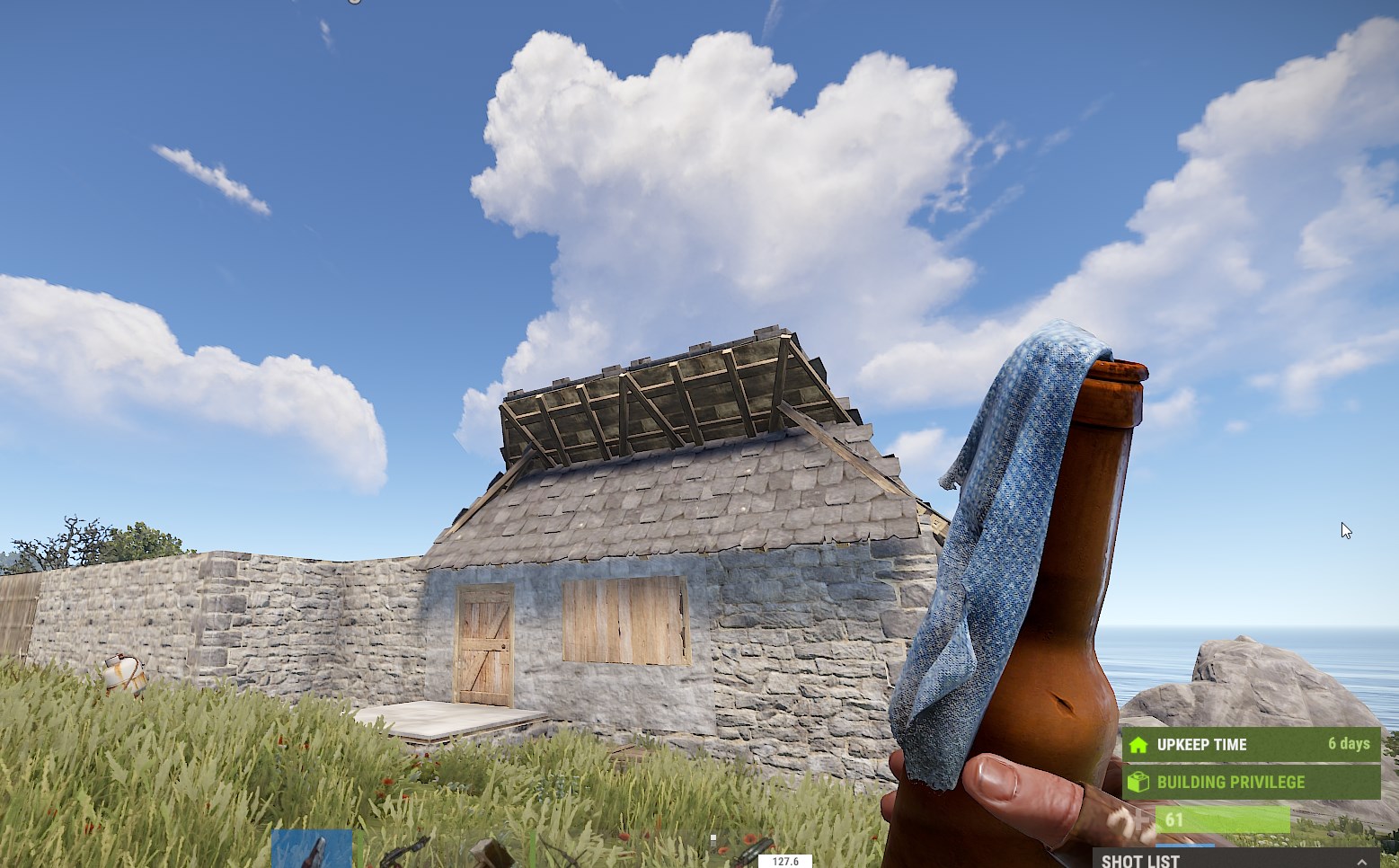 Molotov Cocktail deals 35 damage and has an explosion radius of 3 meters