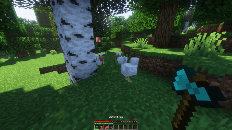 The location of the chicken in Minecraft