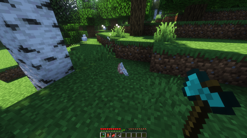 Items from the killed chicken in Minecraft