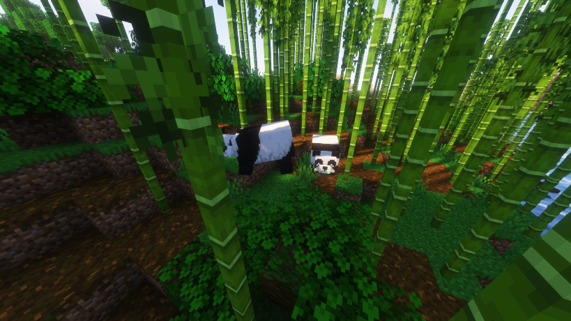 Pandas in bamboo jungle in Minecraft