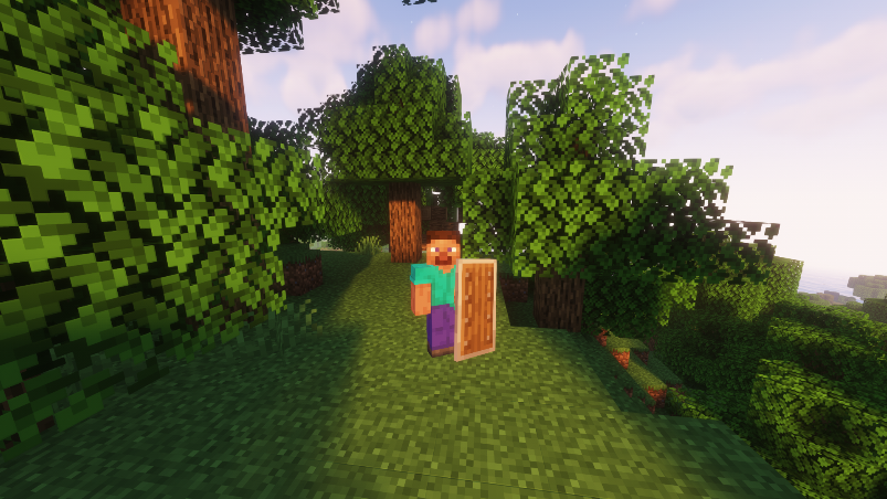 Player with a shield in Minecraft