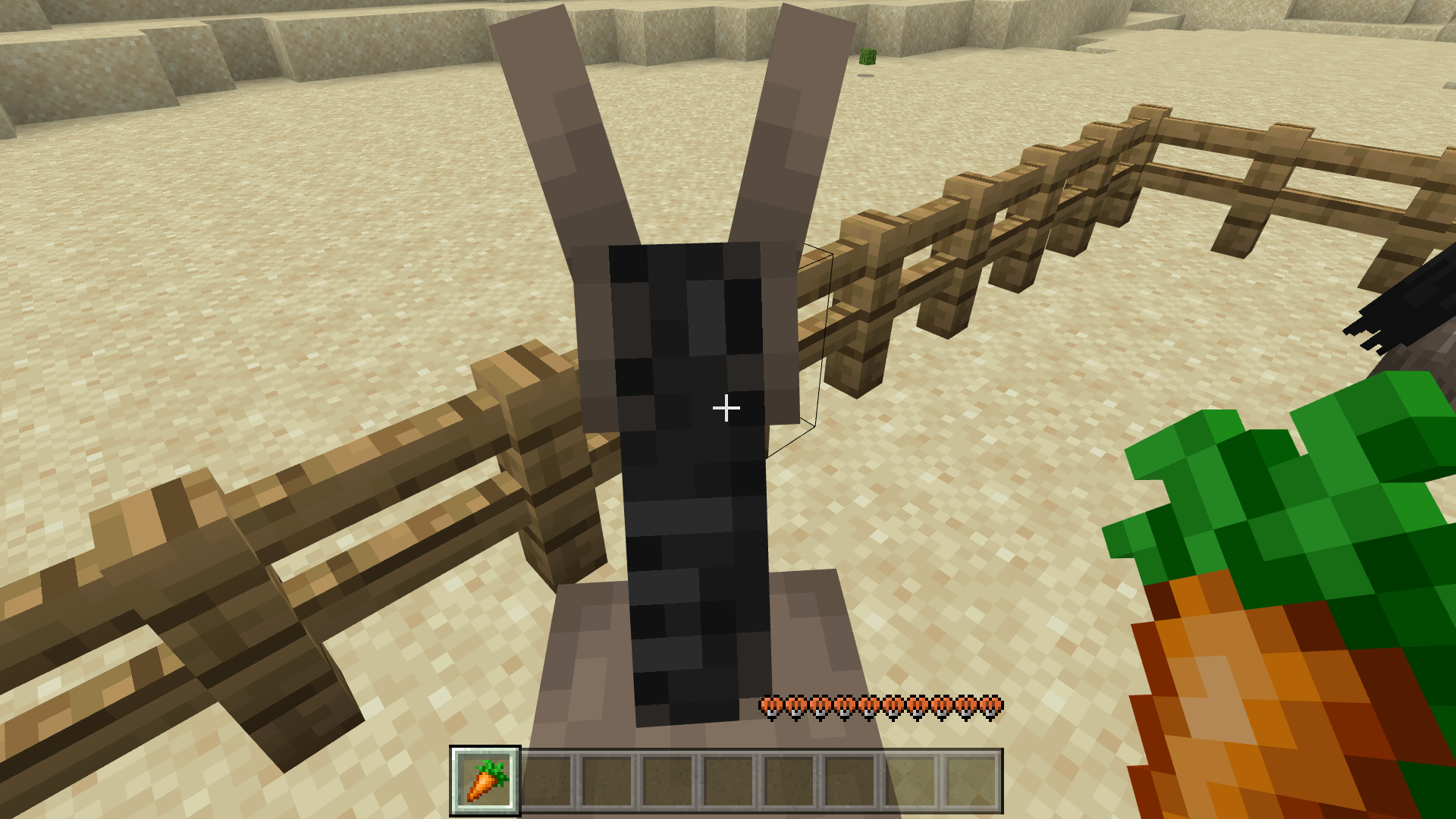 Figure 4 Riding a Donkey