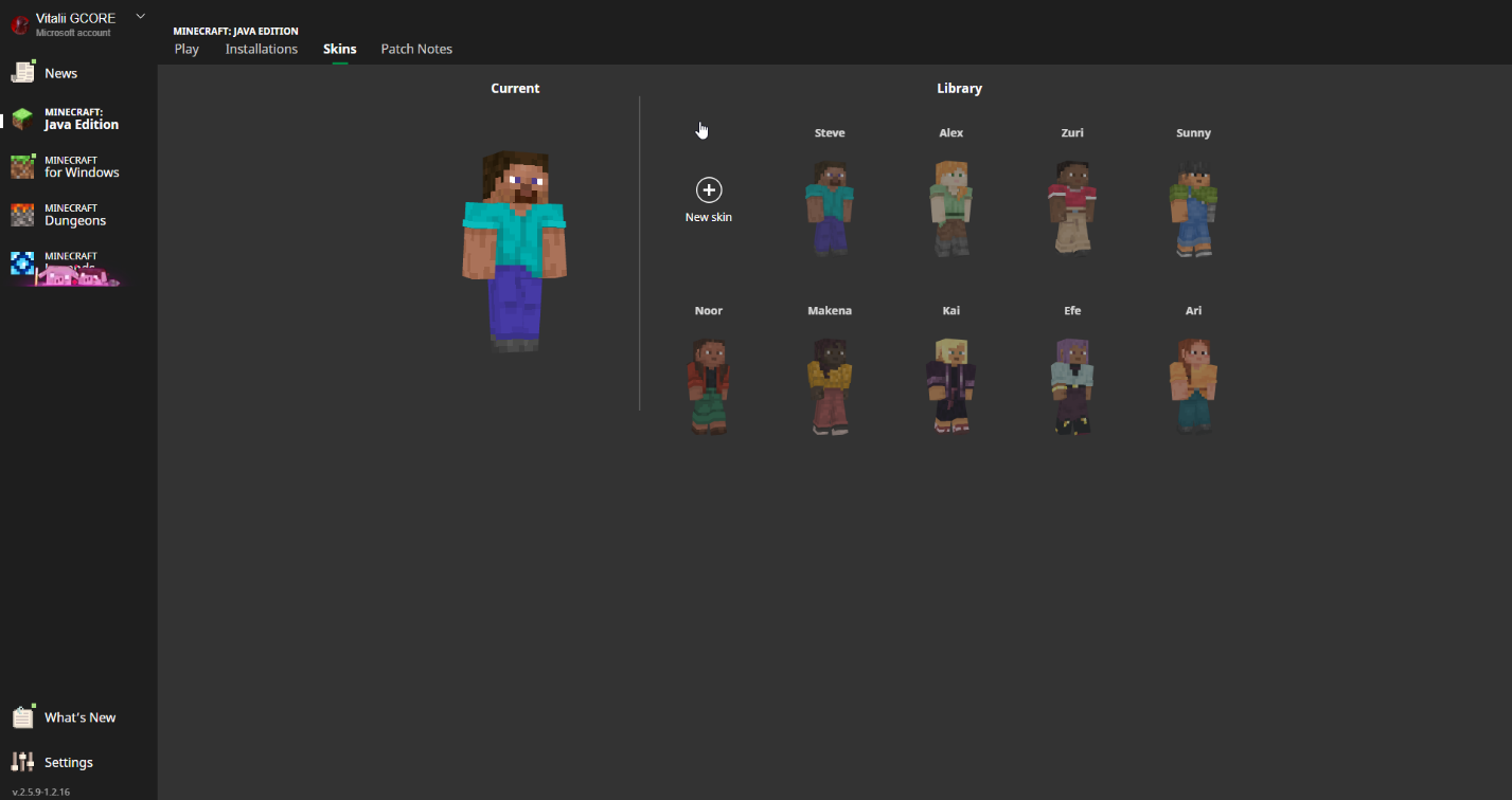 Figure 1 Skins Section