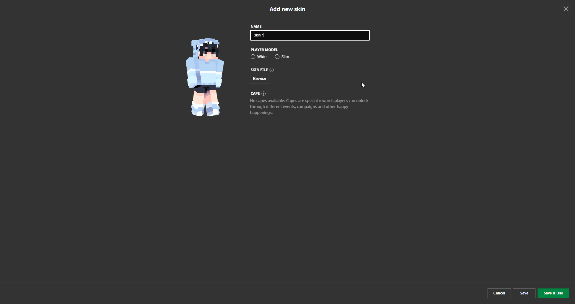 Figure 3 After Adding a Skin