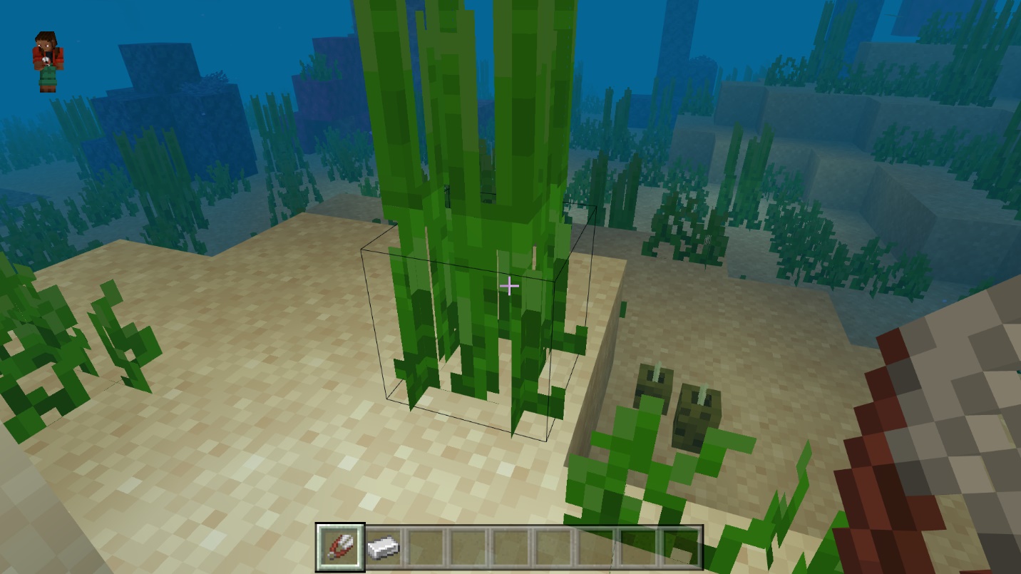Figure 3 Collecting Seagrass