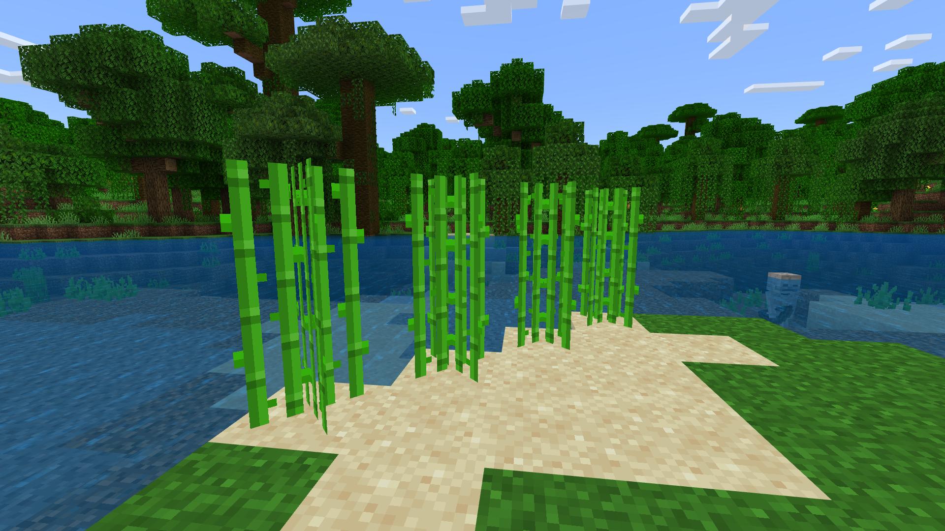 How to grow sugar cane Minecraft - gamever