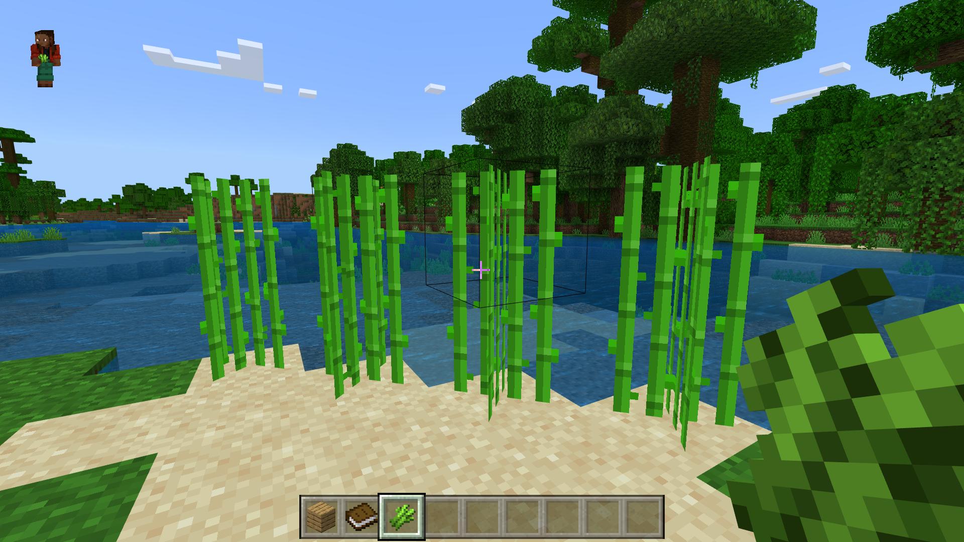 Figure 1 Sugar Cane