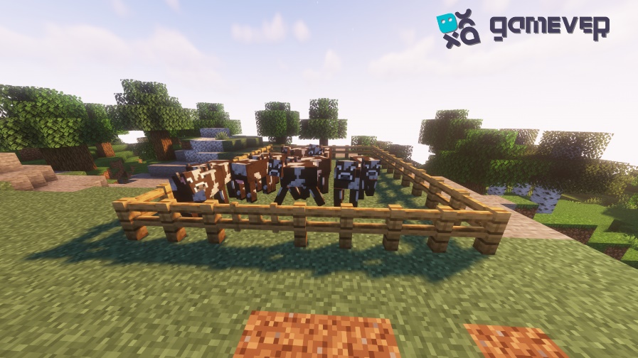 Caw farm