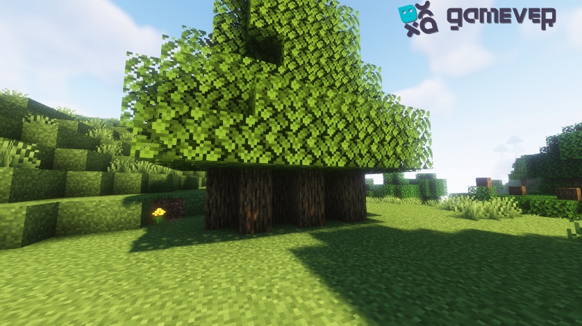 Example of a farm with a checkerboard pattern