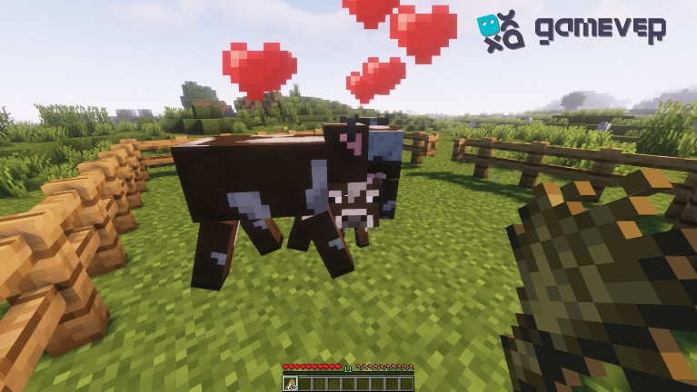 The emergence of the foal
