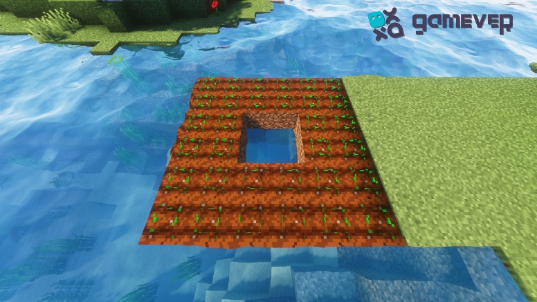Planted seeds