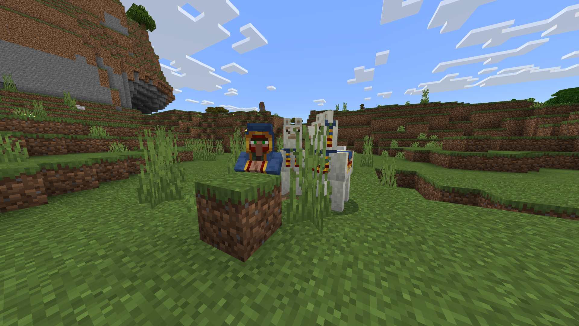 Figure 1 Wandering Trader