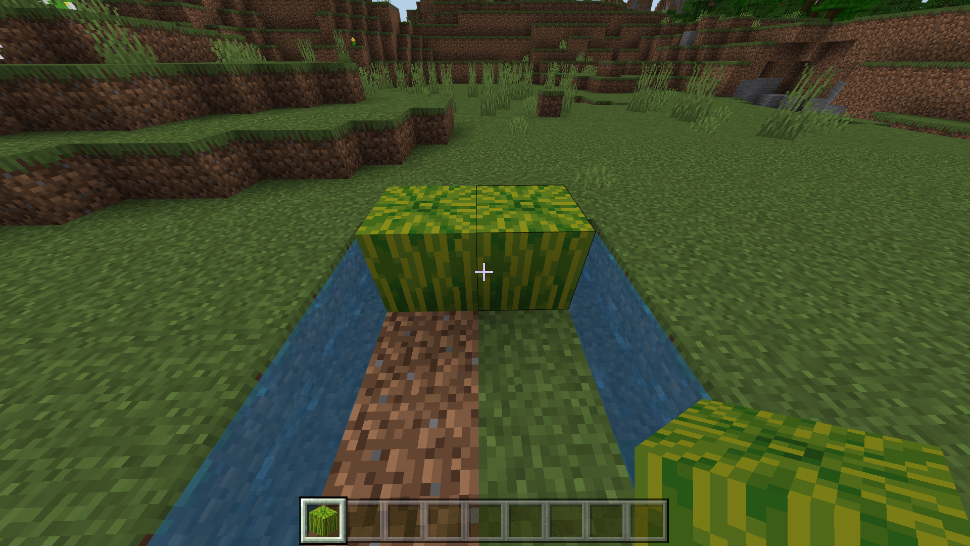 Figure 6 Planting Melons