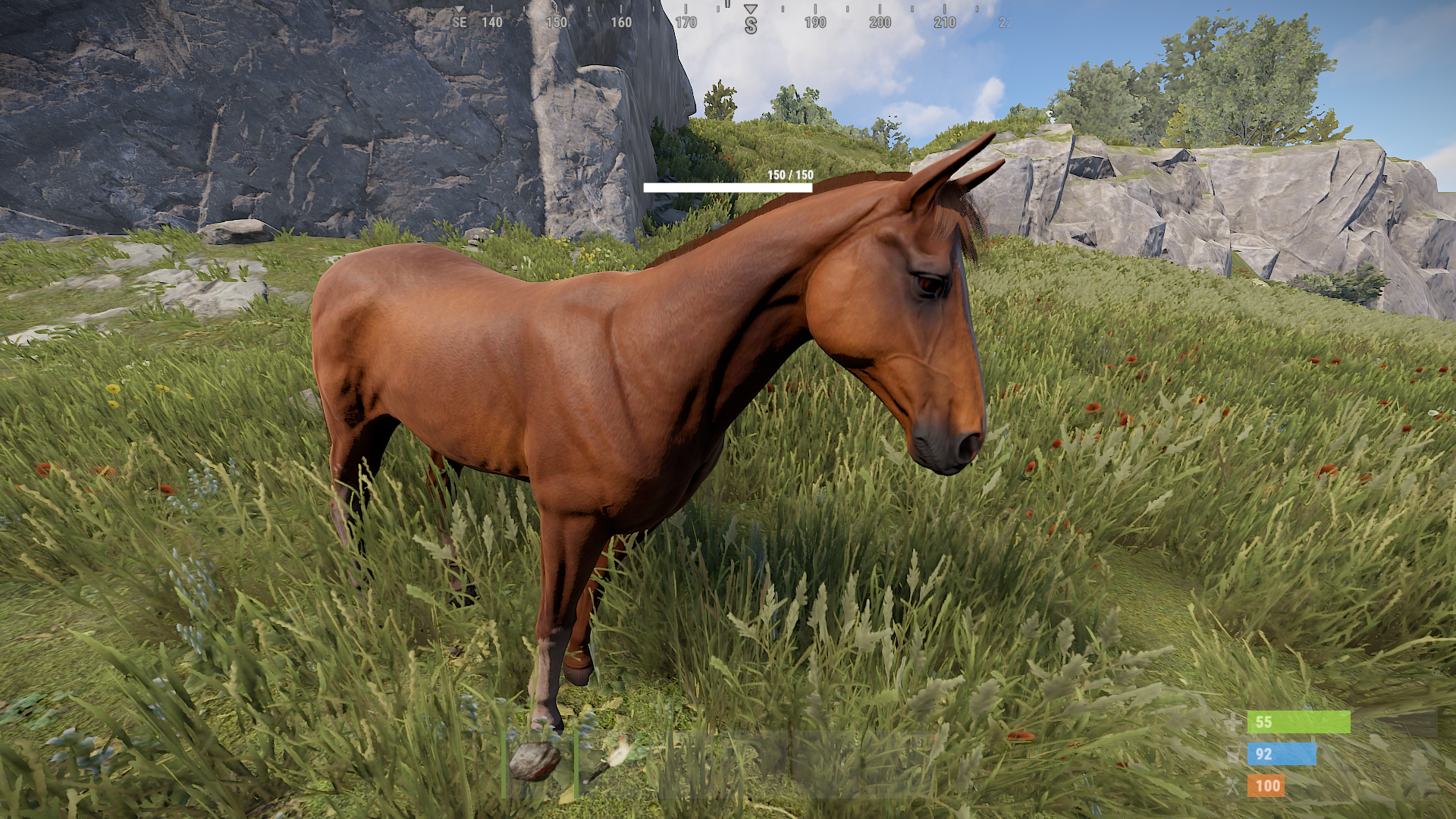 Ein Pferd kann ein verlässlicher Freund in deiner Erfahrung mit Rust sein.