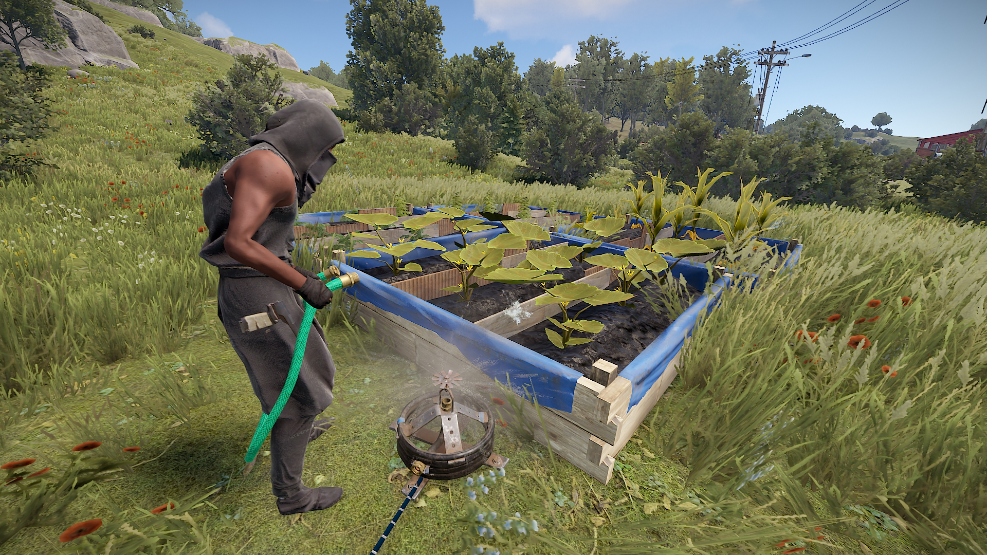 Sprinklers need to be connected to a water source