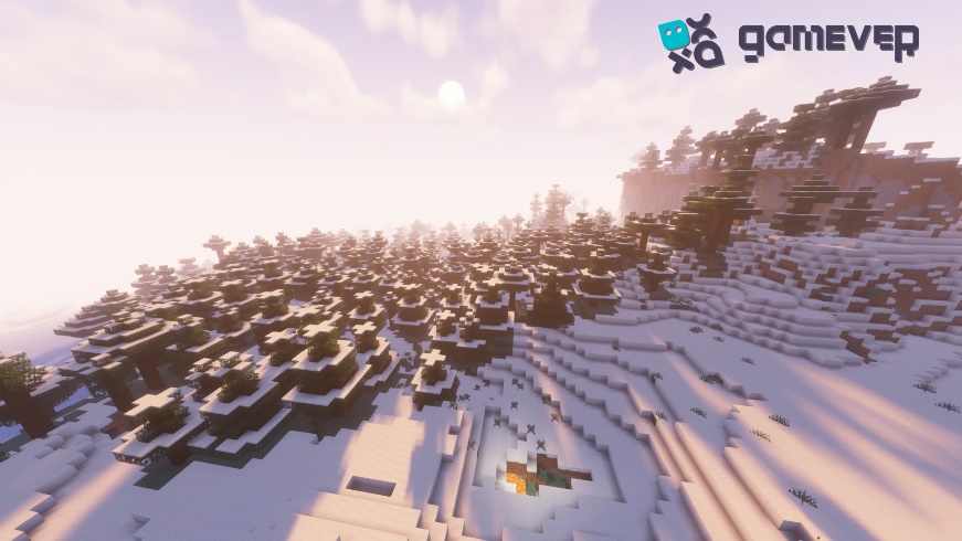 Snowy taiga