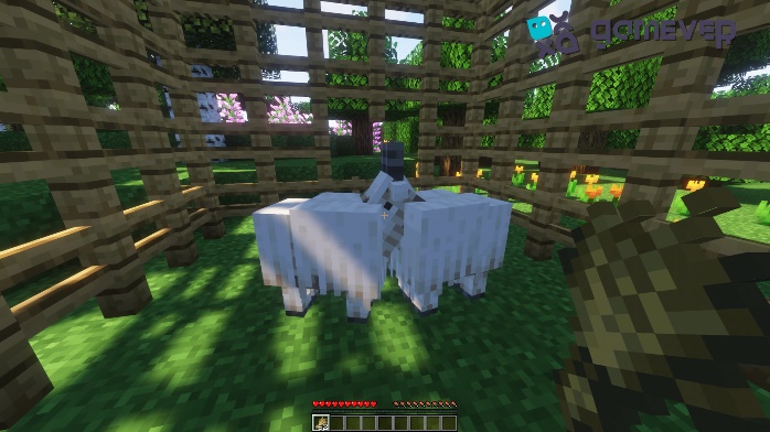 The breeding process