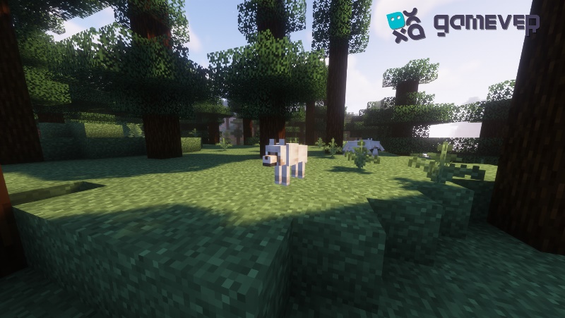 Wolf in taiga