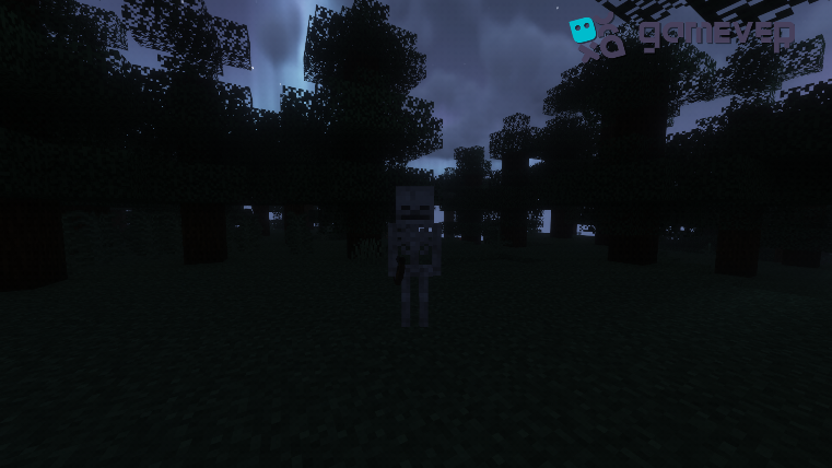 A skeleton