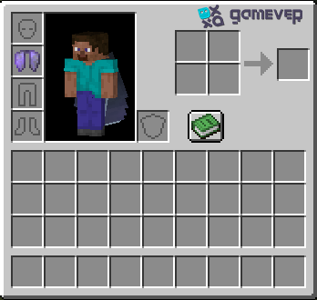 Elytra equipment