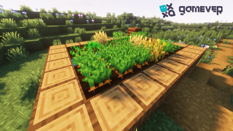 Village seedbed