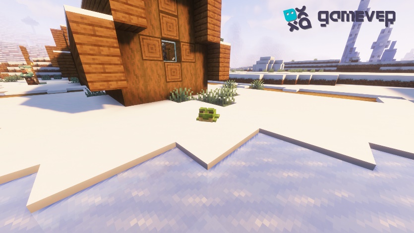 A green frog in ice spikes