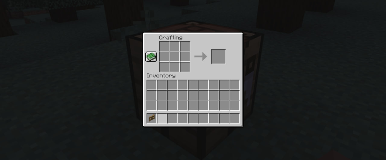 Gate in inventory slot