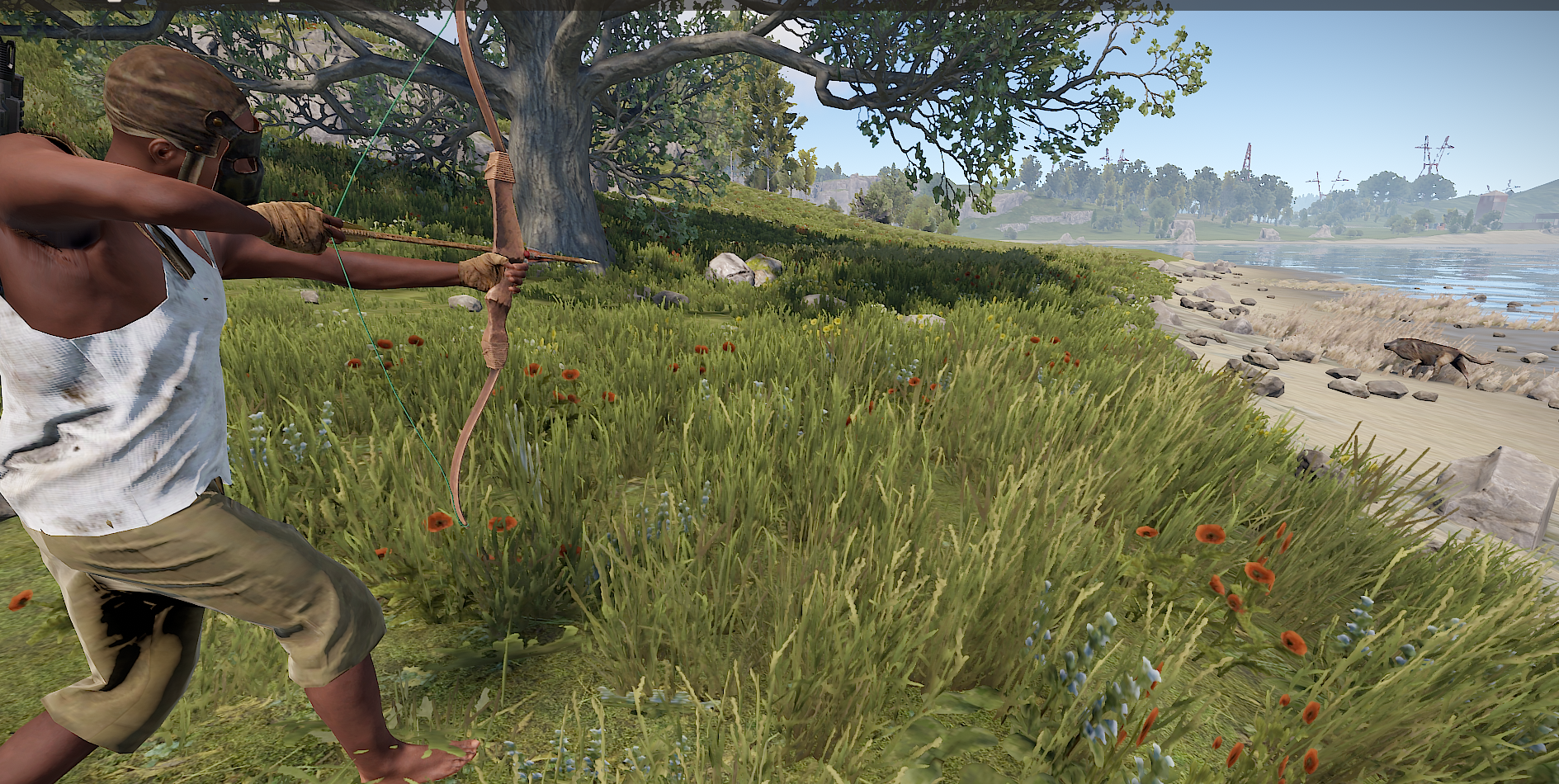 Perfect to hunt.