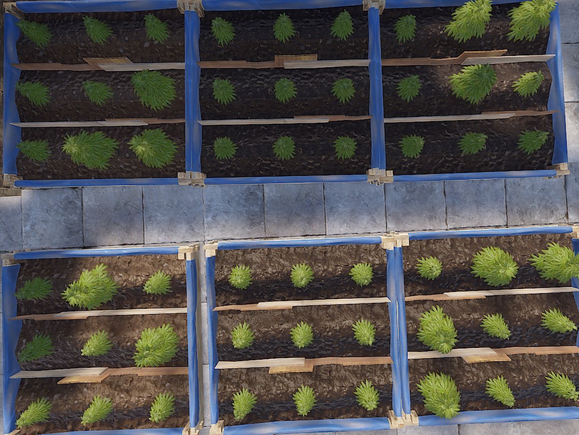 Du kannst deine eigene Farm, Plantage oder dein eigenes Gewächshaus bauen.