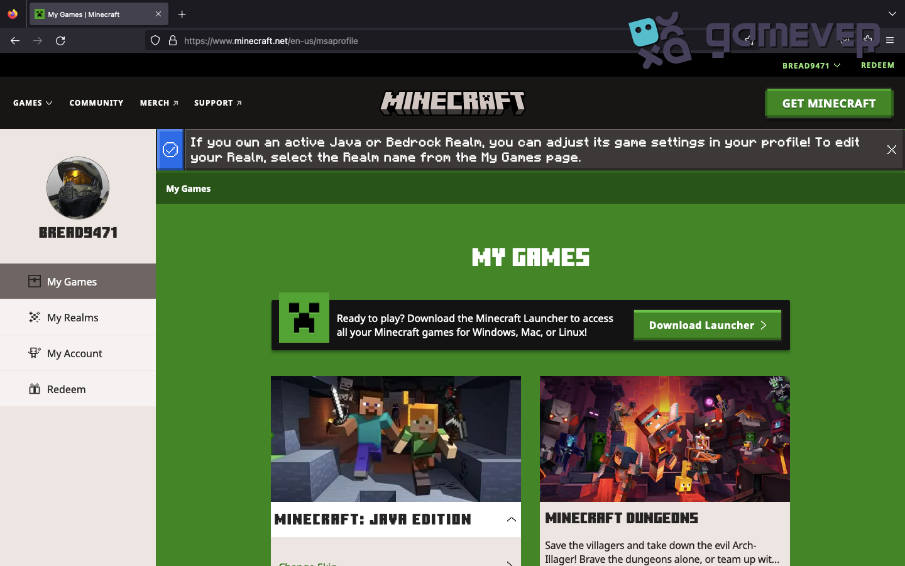 User profile on the Minecraft site