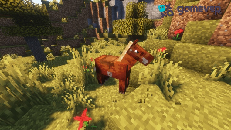Saddled horse
