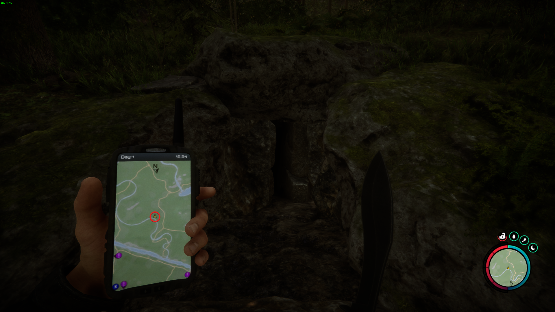Navigate through the dense foliage and rugged terrain to locate the hidden cave.
