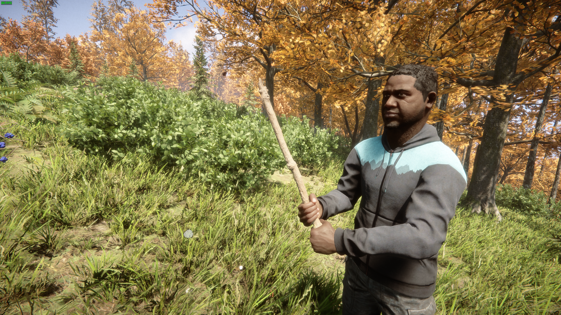 Collect a Stick