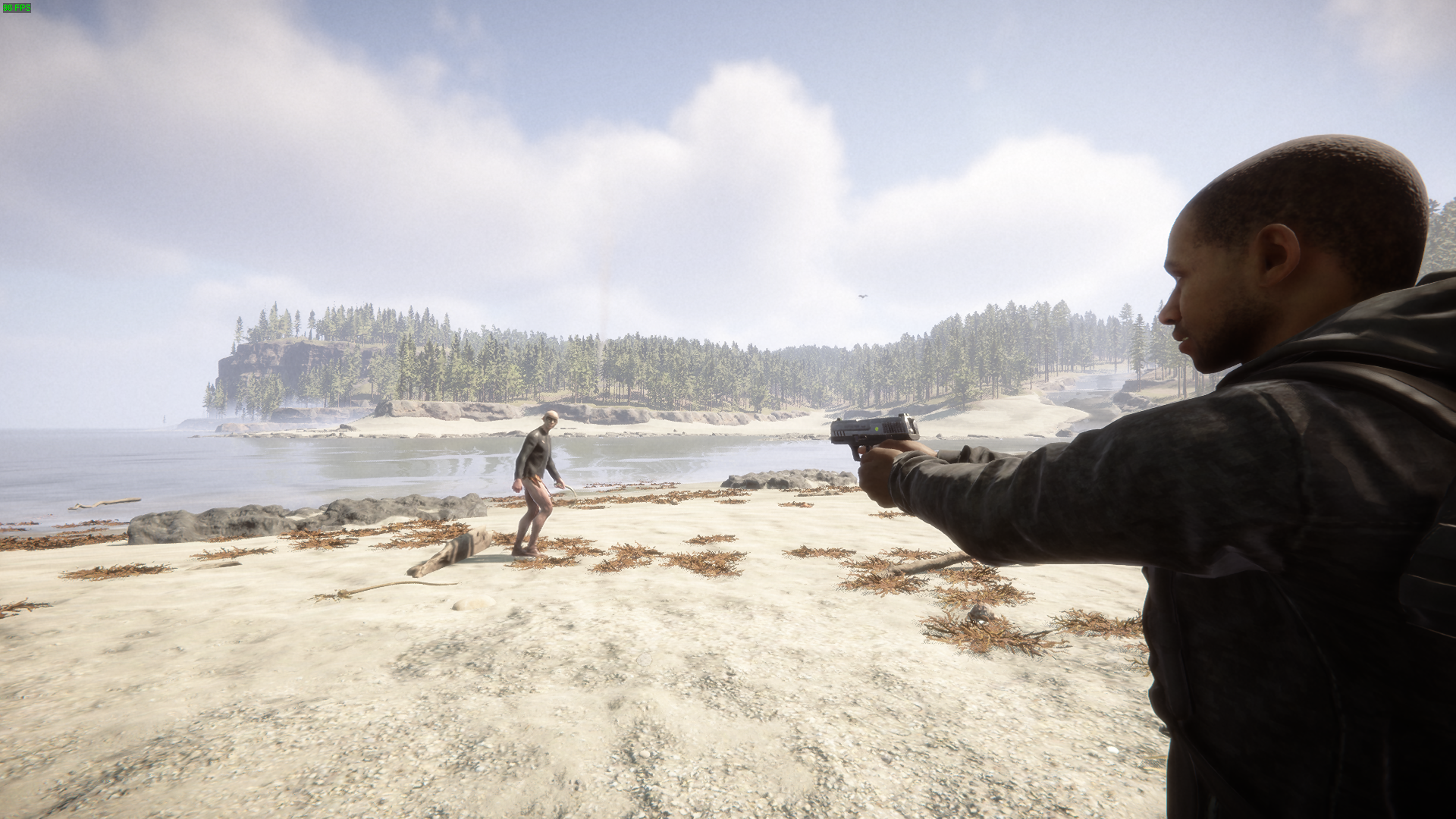 Embrace the Pistol's versatility and firepower to conquer the challenges of Sons of the Forest.