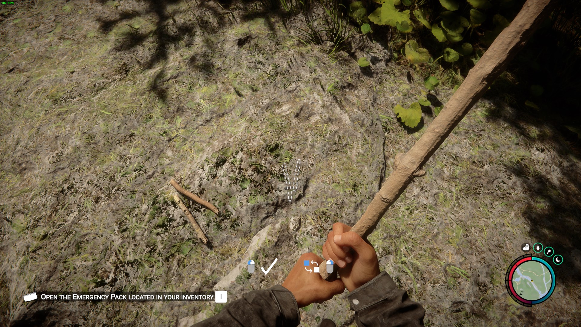 Gathering sticks and a reliable lighter amidst the dense foliage of the forest