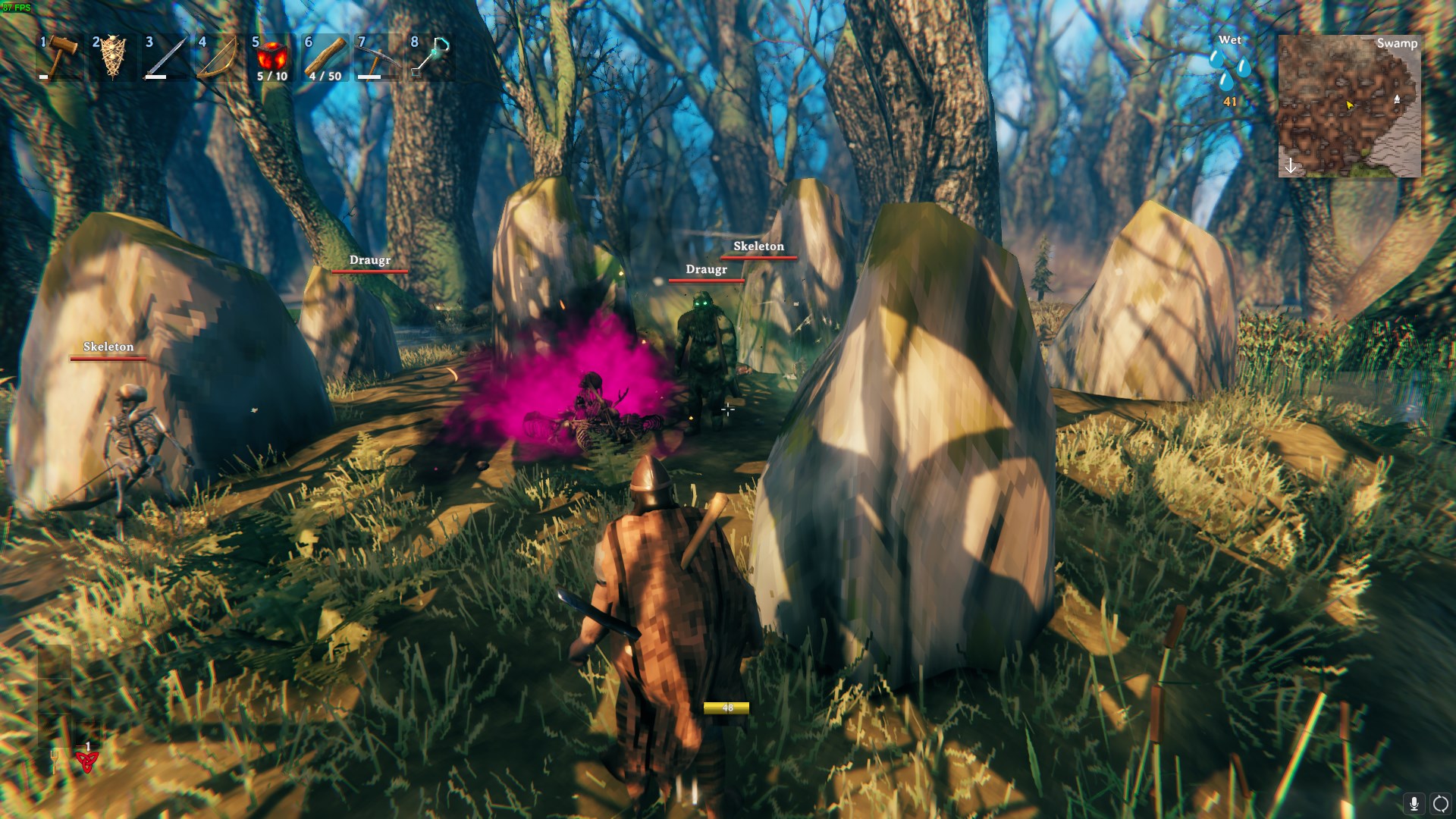 Draugrs and Skeletons abound.
