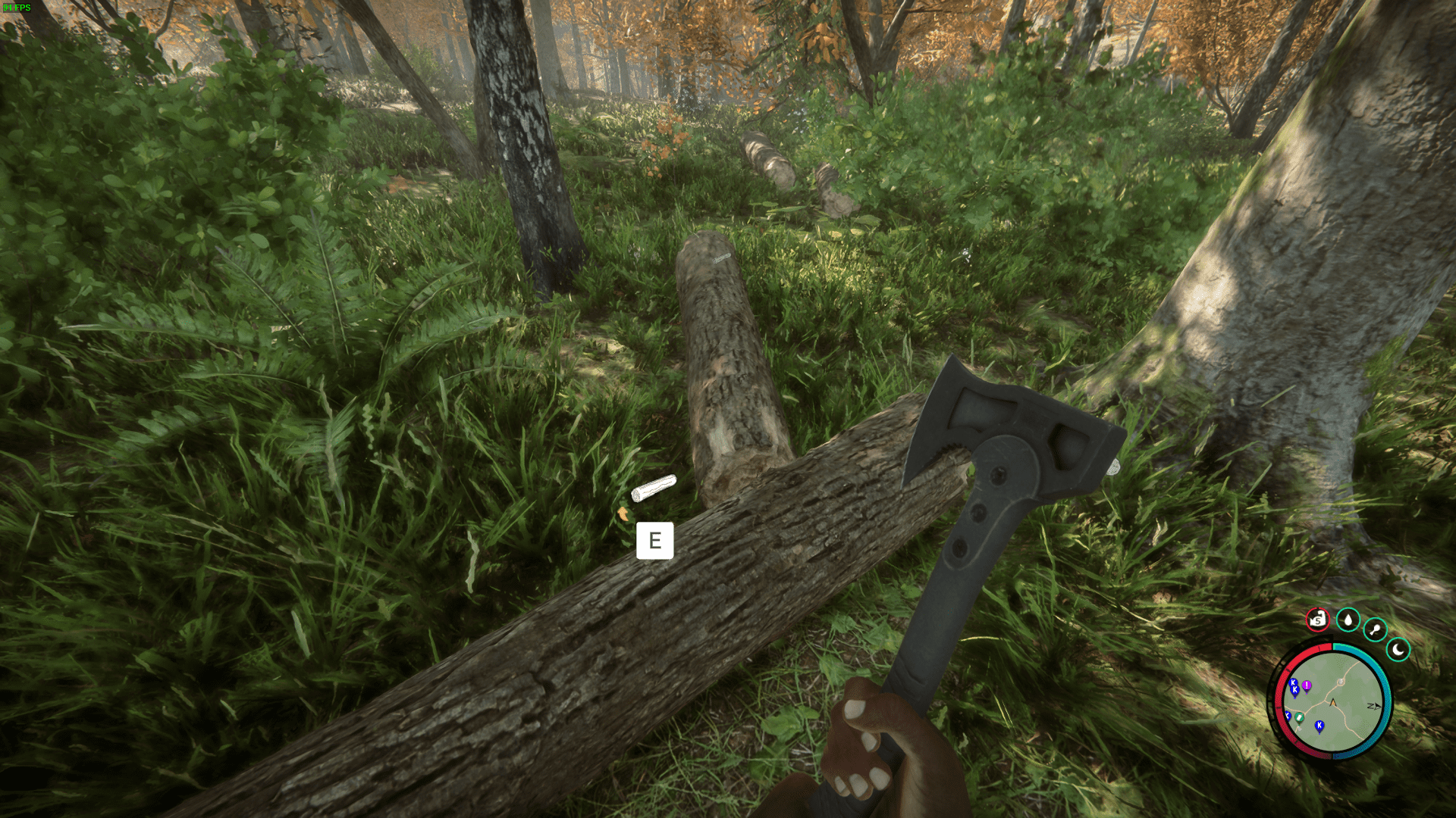 You get logs from the massive trees.