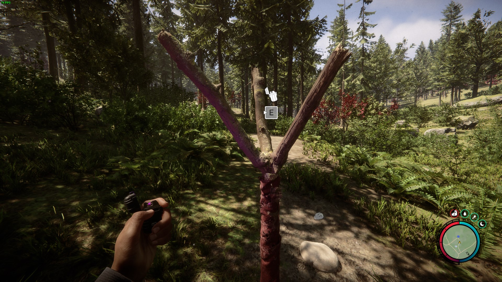 Illuminate your path with crafted torches.