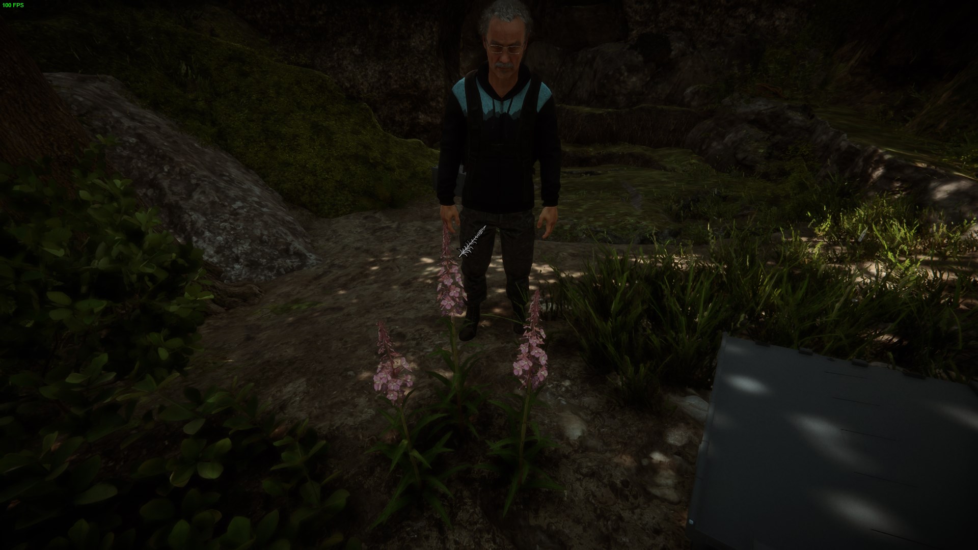 You can also find Fireweed at the entrance of the caves.