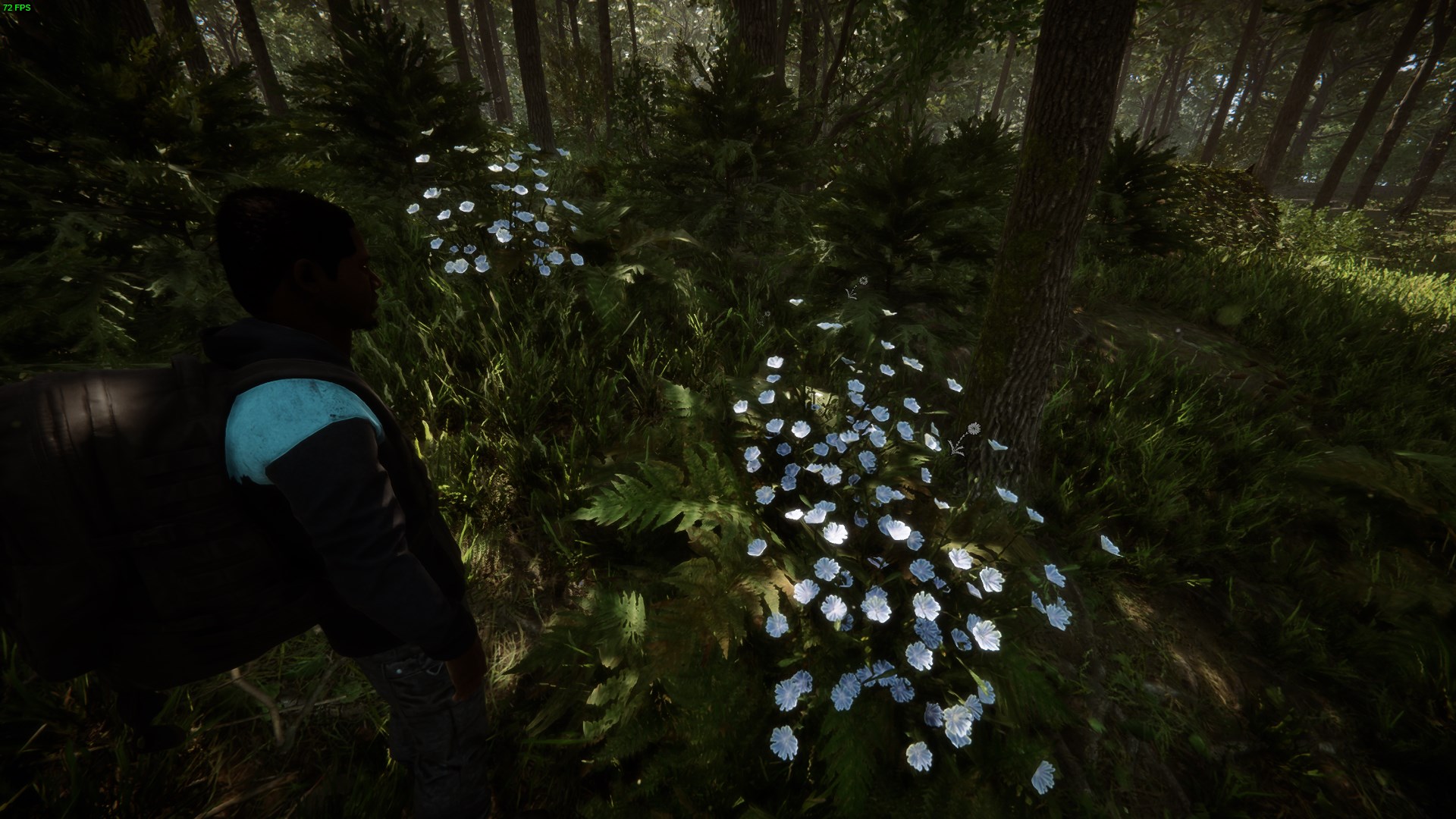How to Craft Energy Mix in Sons of the Forest Find Chicory scattered in wooded areas.