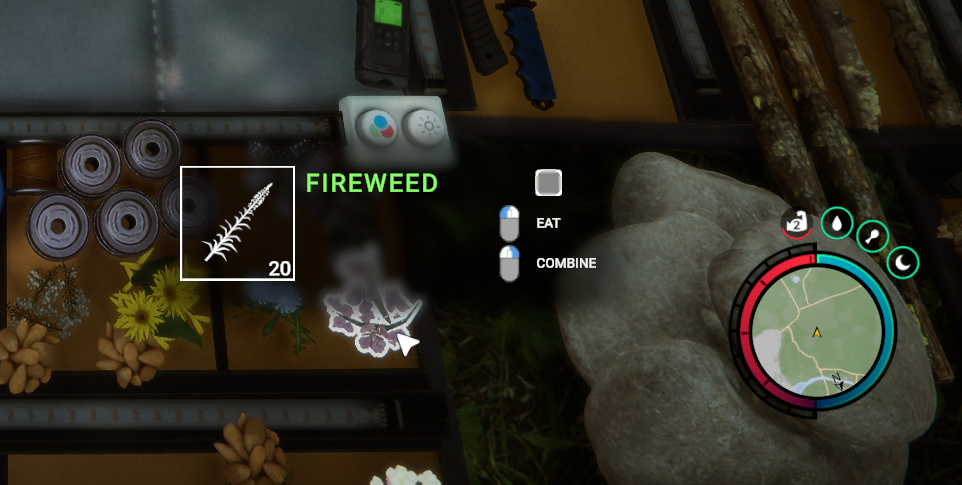 Spot Fireweed with pink flowers across the map.