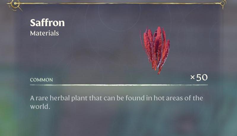 Plant growing in the deserts.