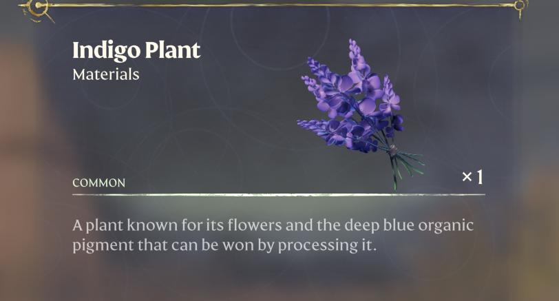 Indigo Plant.