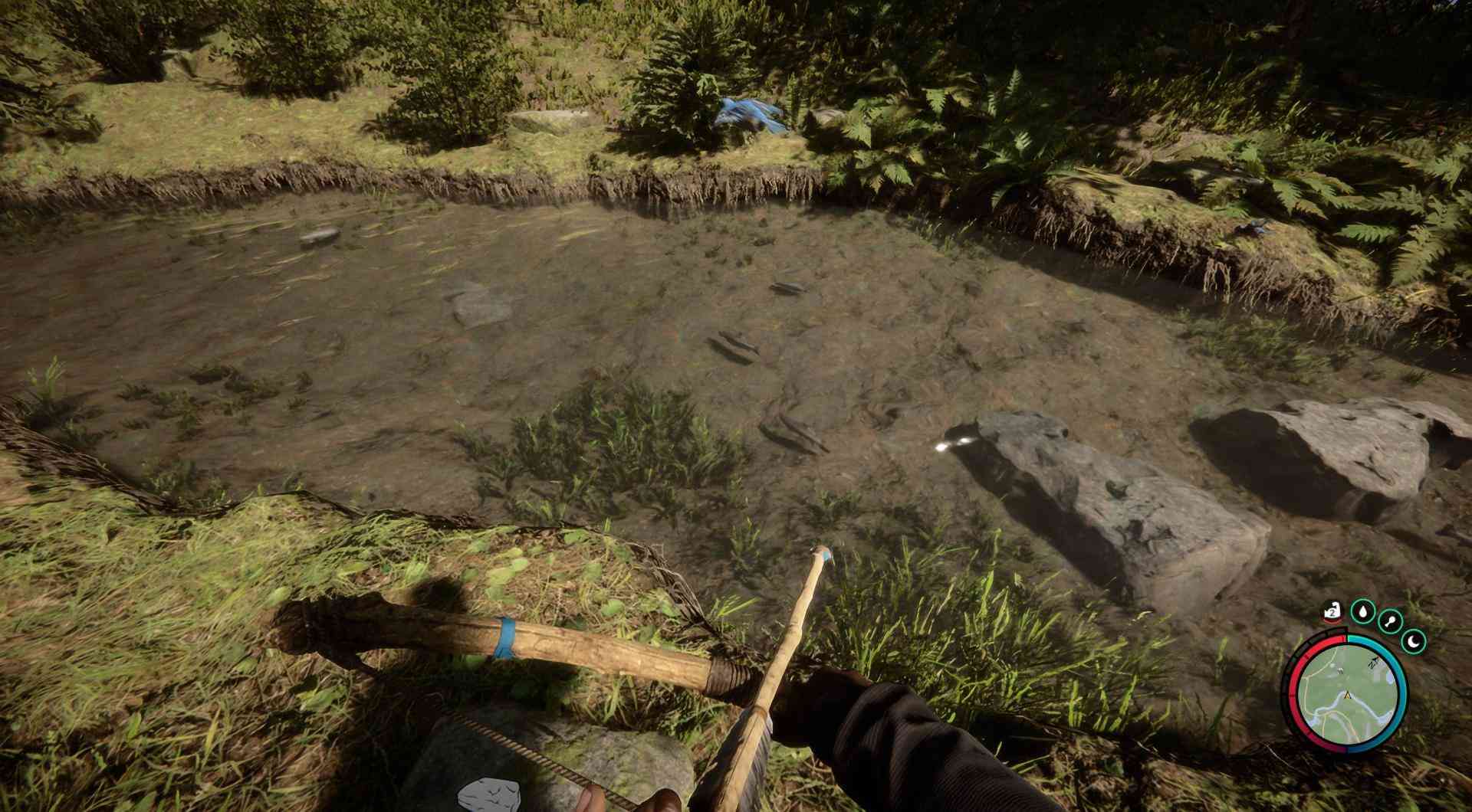 Every catch brings you closer to mastering the wild.