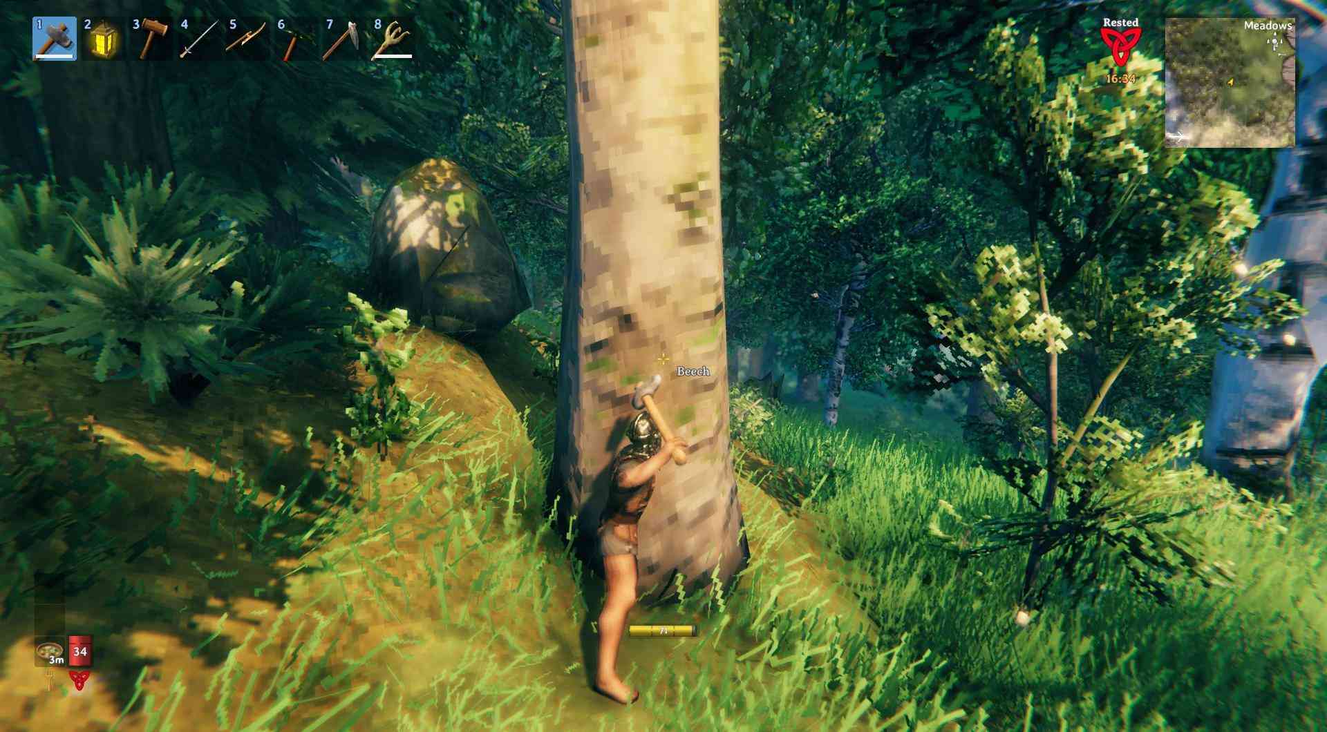 Chop down trees to gather seeds for planting in Valheim.