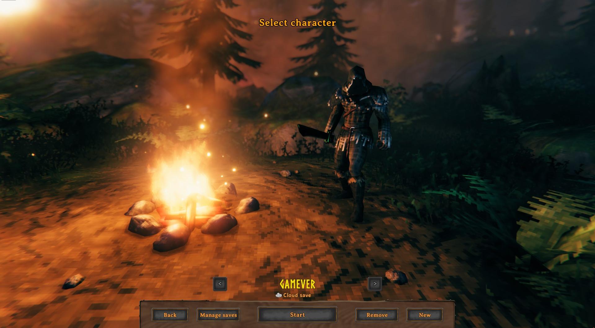 Launch Valheim and enter a game in Valheim.